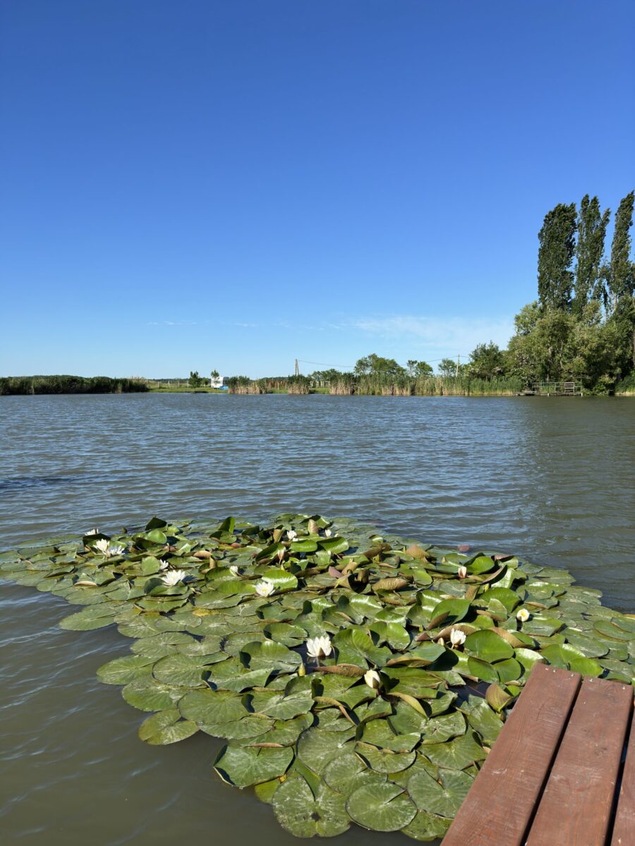 Csoportos szállás, Szálláshely nagy csoportoknak, Baráti társaság szállása, Nagy kapacitású szállás, Családi szállás nagy létszámú csoportoknak, Privát szállás nagy létszám esetén, Közösségi szálláshely, Többfős szállás, Szállás céges csoportoknak, 27 fő, 9 hálószoba